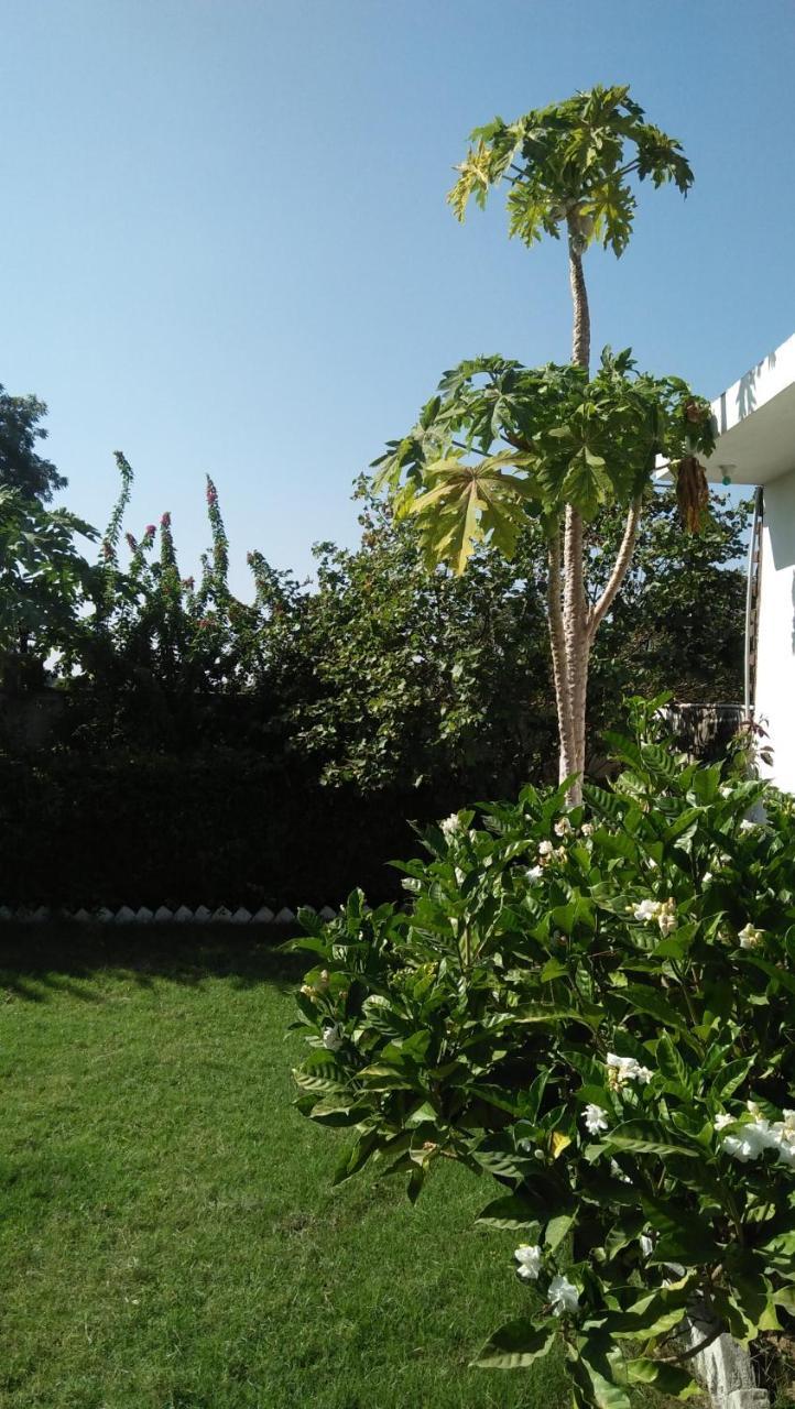 Prem Home Stay Khajurāho Екстериор снимка